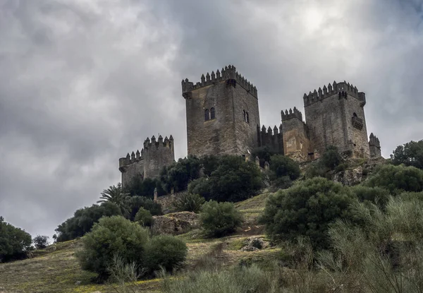 Castelo Almodovar Del Rio Uma Fortaleza Origem Muçulmana Era Forte — Fotografia de Stock