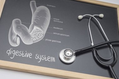 Diyagram bir stetoskop, kavramsal görüntü ile birlikte bir beyaz tahta üzerinde çizilmiş insan sindirim sisteminin