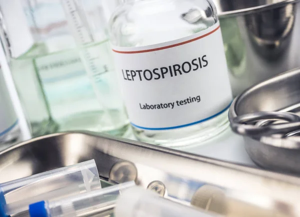 Leptospirosis test laboratuvarı, kavramsal resim, kompozisyon yatay