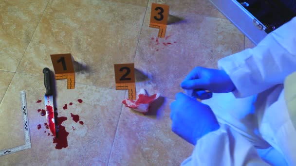 Expert Police Takes Blood Sample Blood Knife Scene Crime Conceptual — Stock Video