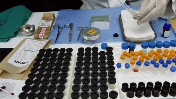 Ekspert Policji Sprawdza Próbki Chemiczne Jako Podstawowy Test Przypadku Morderstwa — Wideo stockowe