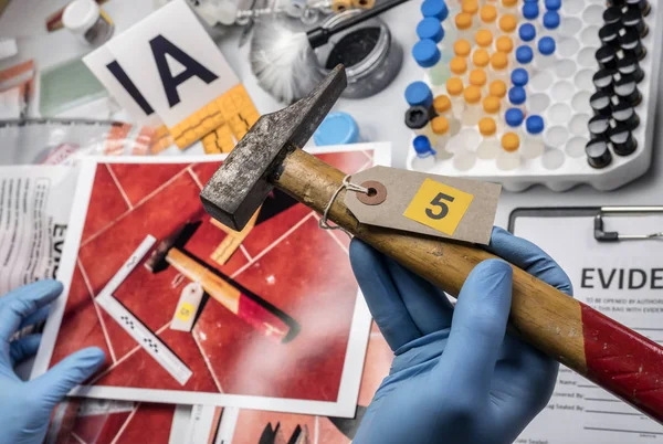 Cientista da polícia analisa martelo da cena do crime no laboratório criminologista — Fotografia de Stock
