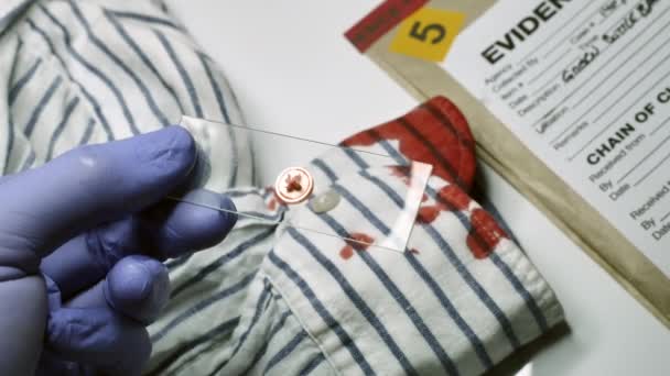 Experto Policía Examina Sangre Botón Una Camisa Escena Crimen — Vídeo de stock