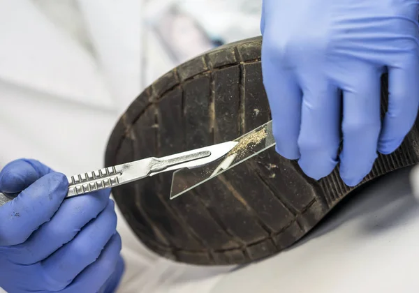 Specializing police officer analyzes ground in a victim's shoe murder with one tweezers, conceptual image — Stock Photo, Image