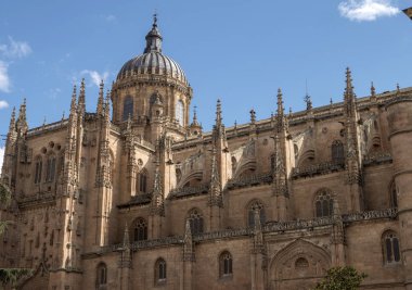 yeni bir katedral (catedral nueva), bir iki katedrallerin Salamanca, İspanya