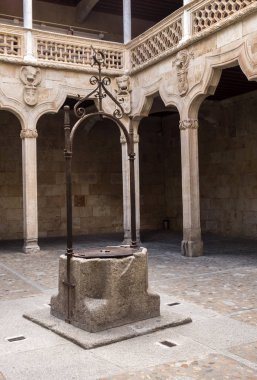 Salamanca, İspanya'da kabukları evinde bulunan halk kütüphanesi avlusu.
