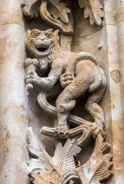 Détail du dragon sculpté dans la pierre dans le porche de la cathédrale, Salamanque, Espagne — Photo