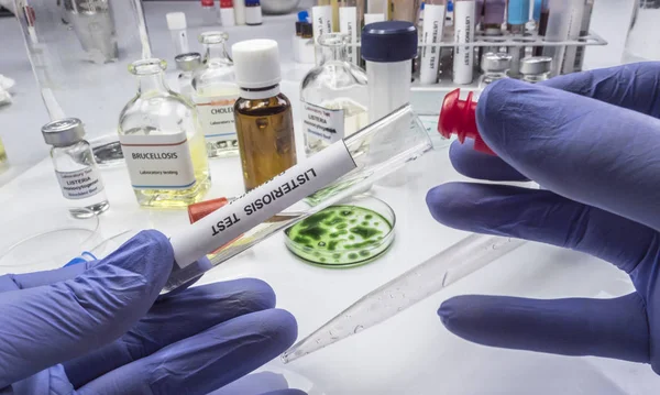Experte analysiert mit Listerien-Bakterien verunreinigtes gefülltes Fleisch im Labor, Keime in Spanien — Stockfoto