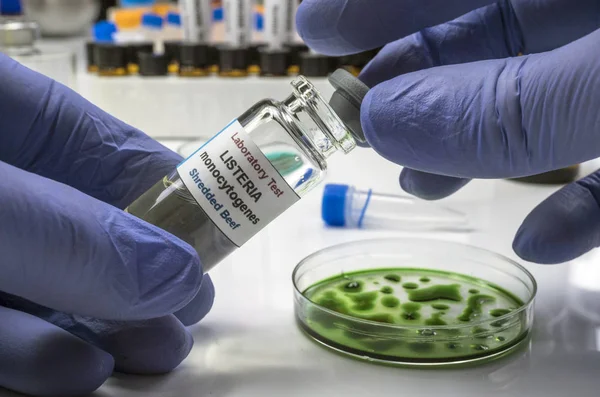 Especialista analisa carne recheada contaminada por bactéria da listeria em laboratório, broto causado na Espanha — Fotografia de Stock