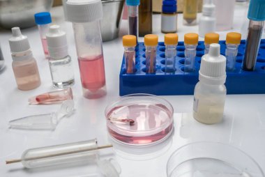 Adli tıp test kiti ile hematolojik analiz suç laboratuarında bir cinayet, kavramsal görüntü