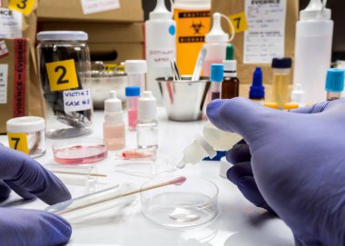 Uzman kriminalist polis, adli tıp test kiti ile bir suç laboratuarında hematolojik analiz gerçekleştiriyor.