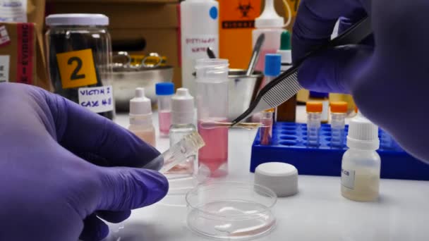 Polícia Criminalista Especializada Realiza Análise Hematológica Com Kit Teste Forense — Vídeo de Stock