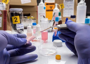 Uzman kriminalist polis, adli tıp test kiti ile bir suç laboratuarında hematolojik analiz gerçekleştiriyor.