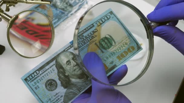 Cientista Polícia Examina Nota Cem Dólares Com Swab Unidade Investigação — Vídeo de Stock