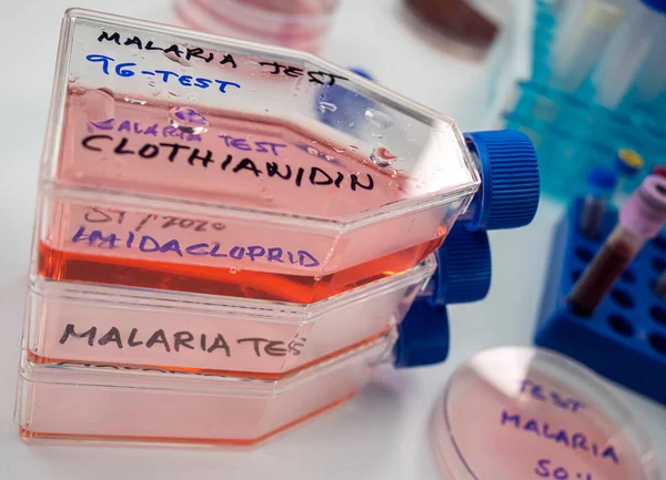 Laboruntersuchungen Zum Insektizid Clothianidin Ursache Der Malariaerkrankung Durch Die Malariamücken — Stockfoto