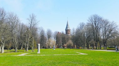 Kaliningrad 'da bir bahar günü heykel parkındaki Katedral manzarası