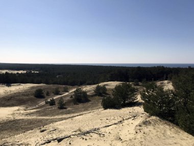 Curonian tepeleri açık bir günde tükürük rezervleri