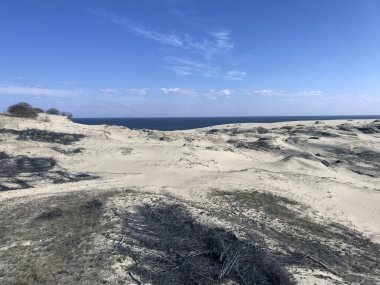 Curonian tepeleri açık bir günde tükürük rezervleri