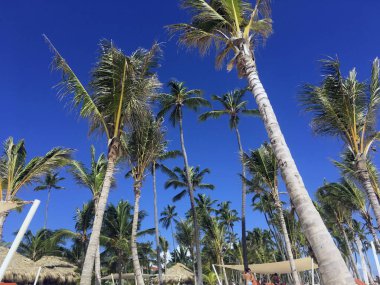 Punto Cana plajı. Güneşli havayı severim.
