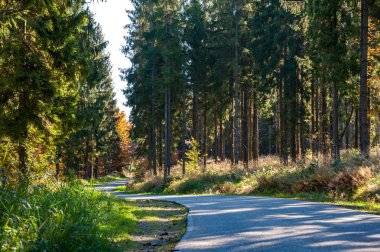 sonbahar renkleri / a park sonbahar renklerinin tam sonbahar güneşin güzel renkli ağaçlar arasında bir dağ gezisi