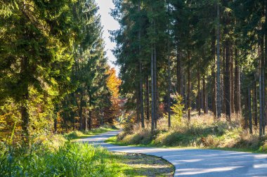 sonbahar renkleri / a park sonbahar renklerinin tam sonbahar güneşin güzel renkli ağaçlar arasında bir dağ gezisi