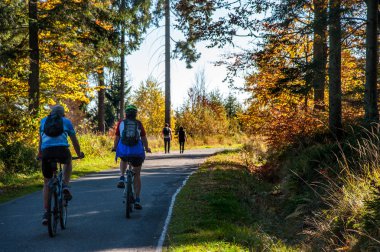 sonbahar renkleri / a park sonbahar renklerinin tam sonbahar güneşin güzel renkli ağaçlar arasında bir dağ gezisi