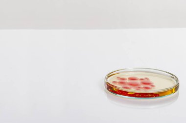  deneyler sırasında beyaz zemin üzerinde bir laboratuvar tablo Labaratuar donanımları