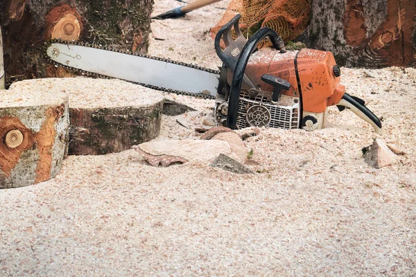 Gasoline Saw Chainsaw Copy Space Object Focus Space Text Blurred — Stock Photo, Image