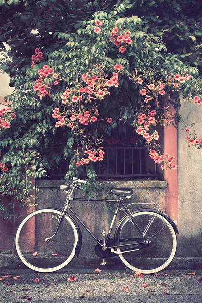 Cykel Med Blommor Bakgrunden Cykel Lutar Sig Mot Väggen Bild — Stockfoto
