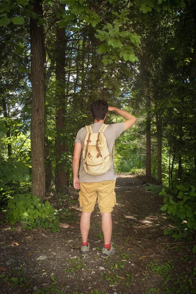 Looking Pathway Woods Vertical Picture Man Mountain Path — Stock Photo, Image