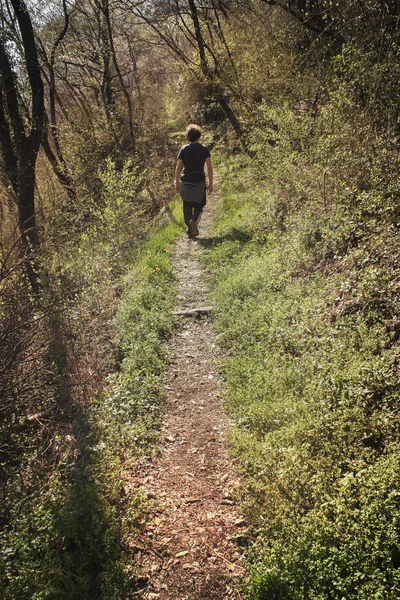 Hombre Caminando Través Camino Imagen Vertical Una Sola Persona Naturaleza —  Fotos de Stock