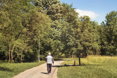 Park 'taki yaşlı adamın yürüyüşünün arka görüntüsü.