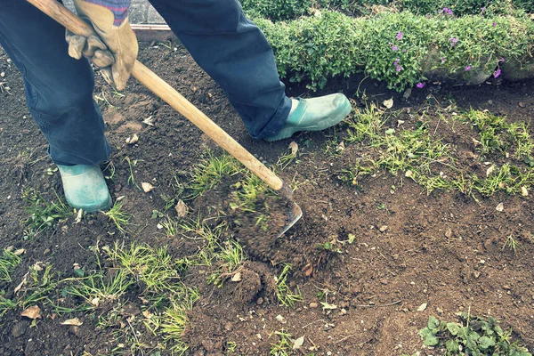 Farmer removes weeds with a hoe. Agriculture jobs (blur motion effect of the tool)