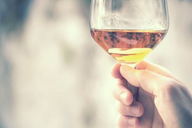 Şarap vintage efekti bardağı, kopyalanmış arkaplan (retro style picture)