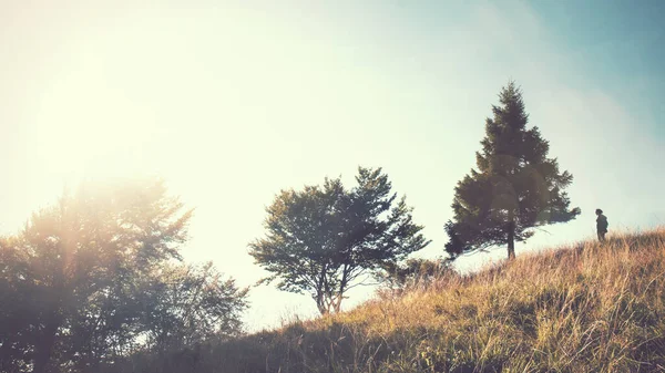 horizontal picture of woman in the mountain, outdoor activity in mountain during summer