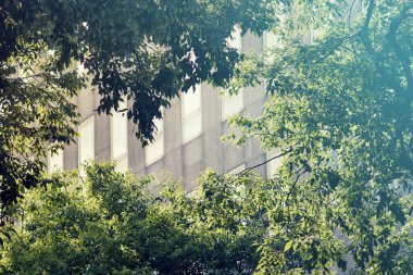 Yeşil bölgedeki apartman blokları, bitkiler CO2 gazını filtreler ve oksijen üretirler..