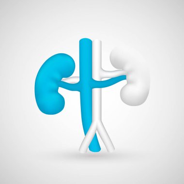 İnsan vücudu böbrek beyaz zemin üzerine.