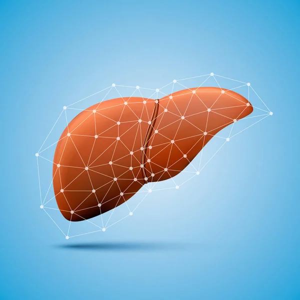 Signo hepático objeto médico — Archivo Imágenes Vectoriales