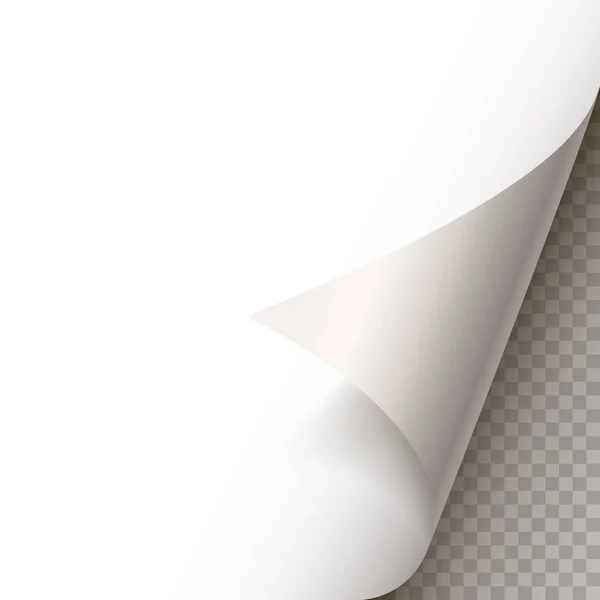 Page curl avec ombre sur feuille de papier vierge . — Image vectorielle
