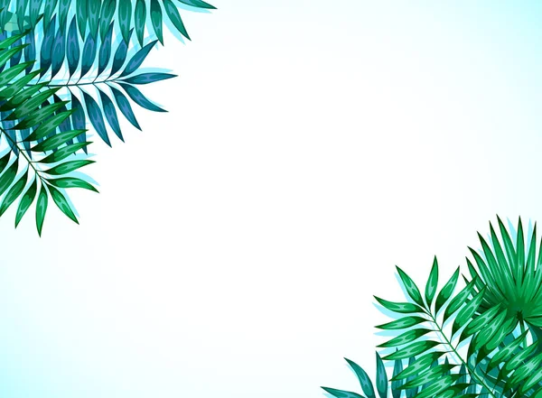 Cadre de feuilles tropicales colorées. Concept de jungle pour la conception d'invitations, cartes de vœux et fonds d'écran. Illustration vectorielle — Image vectorielle