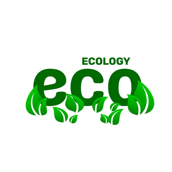 Eko zelený organický list stromu, ikona na bílém pozadí. — Stockový vektor