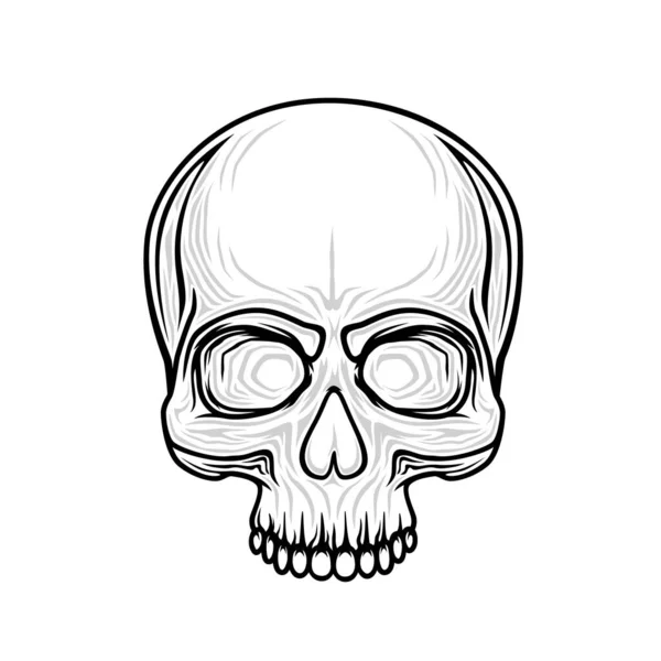 Human skull isolated on black, color object. — Stock Vector