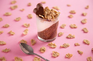Lezzetli kahvaltı, yoğurt ve tahıl ile kakao chia puding