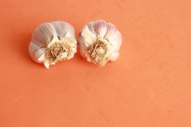 renkli arka planda sarımsak başkanı