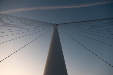 Zaragoza, İspanya 23 Ocak 2019: Zaragoza İspanya 'da gönüllü yürüyüş