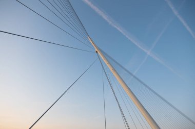 Zaragoza, İspanya 23 Ocak 2019: Zaragoza İspanya 'da gönüllü yürüyüş