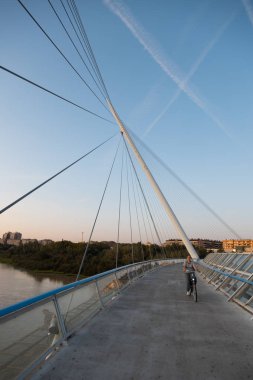 Zaragoza, İspanya 23 Ocak 2019: Zaragoza İspanya 'da gönüllü yürüyüş