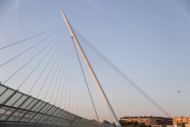 Zaragoza, İspanya 23 Ocak 2019: Zaragoza İspanya 'da gönüllü yürüyüş