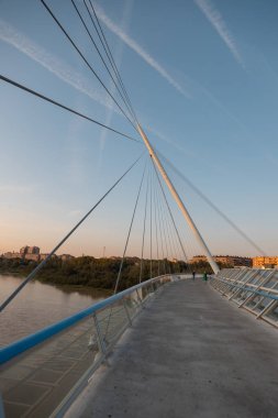 Zaragoza, İspanya 23 Ocak 2019: Zaragoza İspanya 'da gönüllü yürüyüş