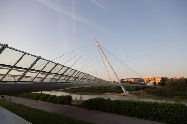 Zaragoza Spagna Gennaio 2019 Passeggiata Volontaria Saragozza Spagna — Foto Stock